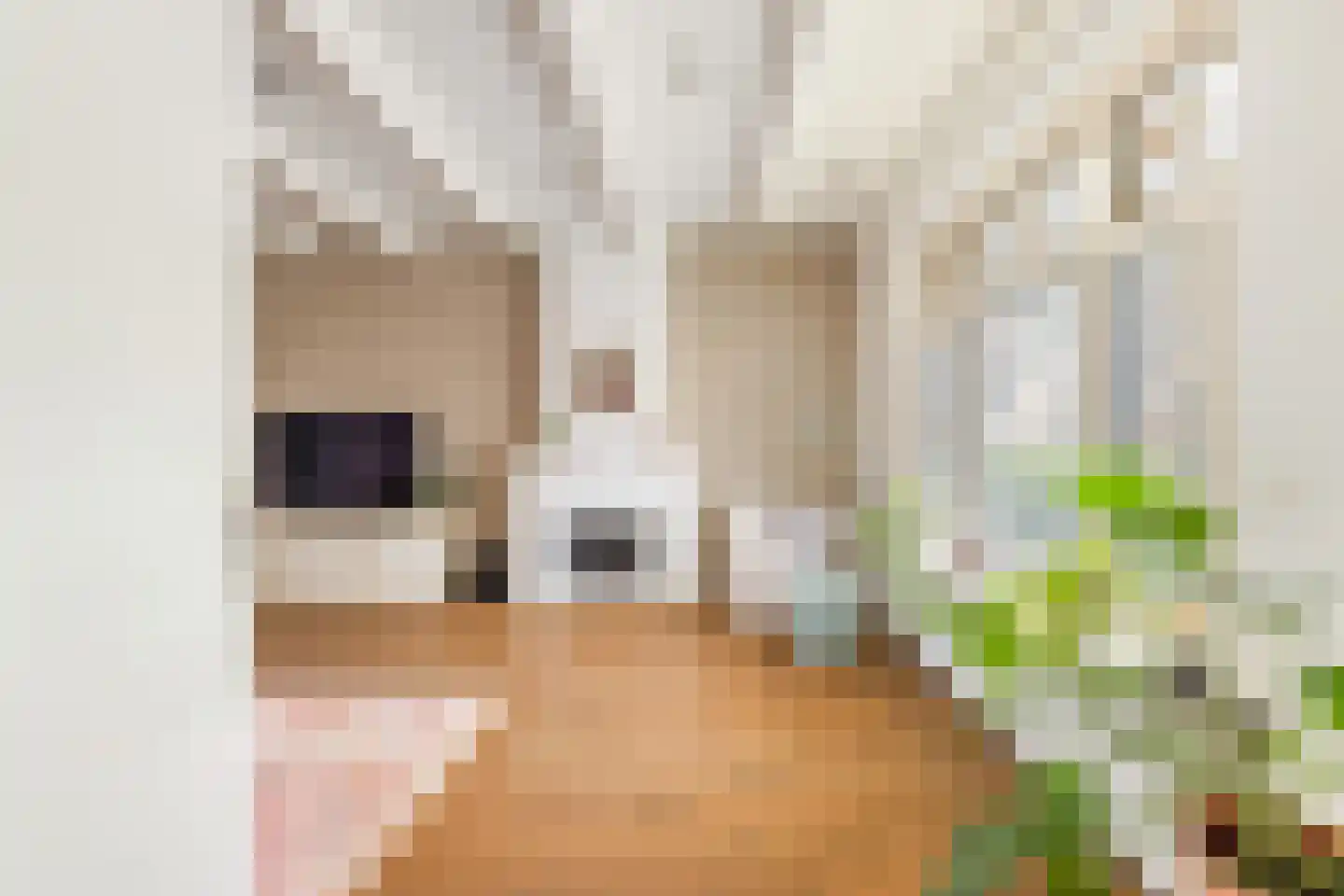 Schanspoort 12 Klundert thumbnail 11