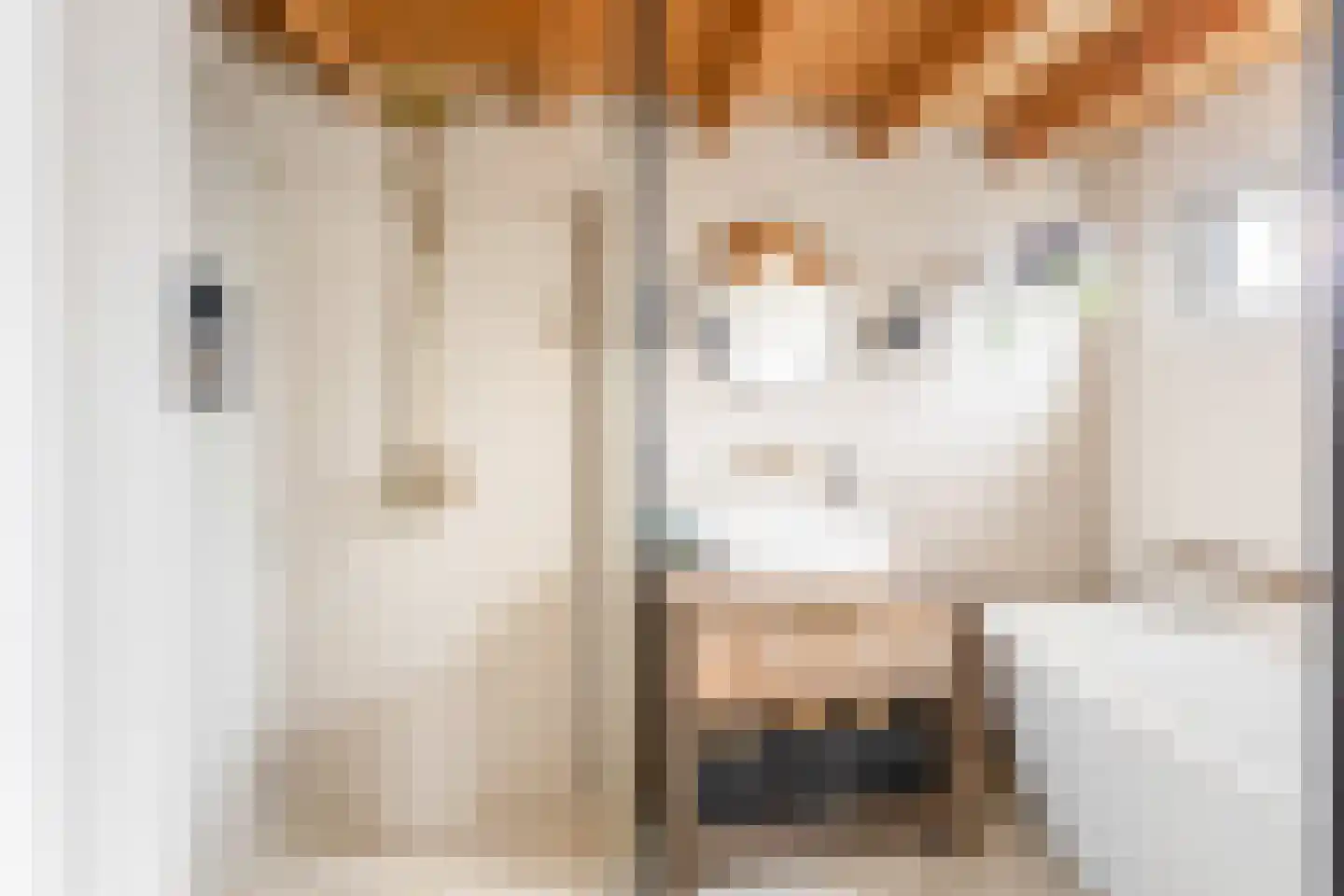 Schanspoort 12 Klundert thumbnail 25