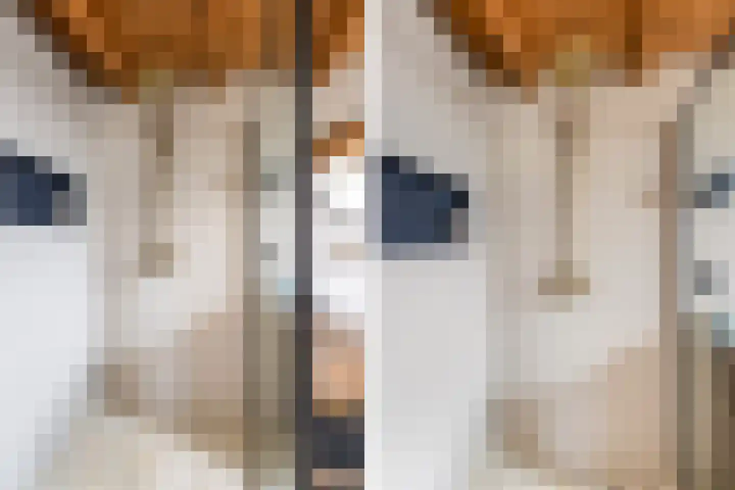 Schanspoort 12 Klundert thumbnail 26