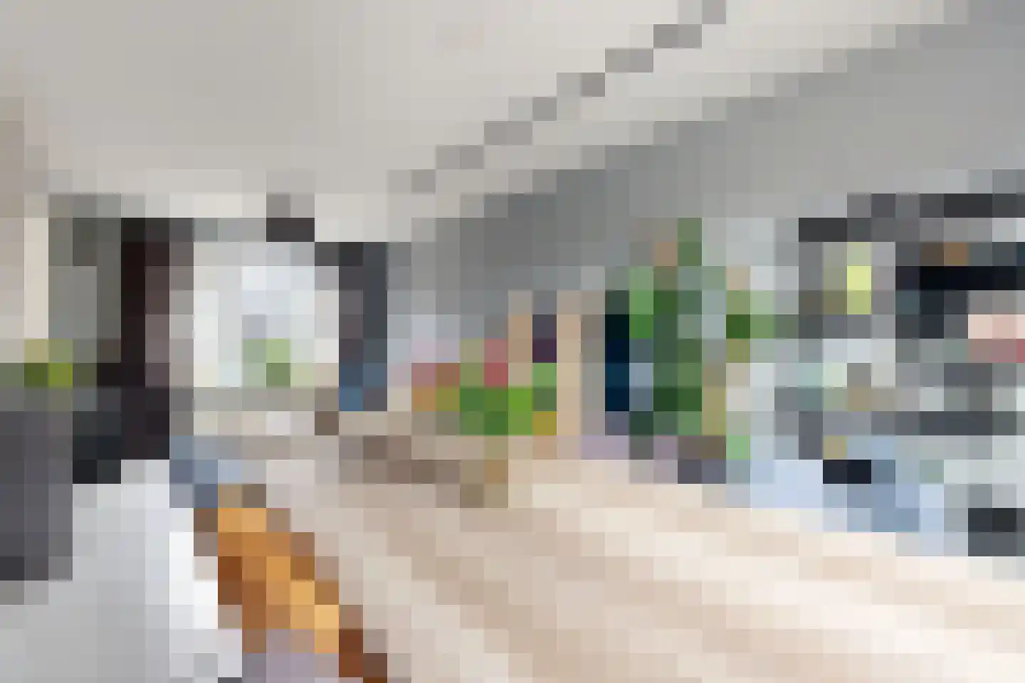 Schanspoort 30 Klundert thumbnail 19
