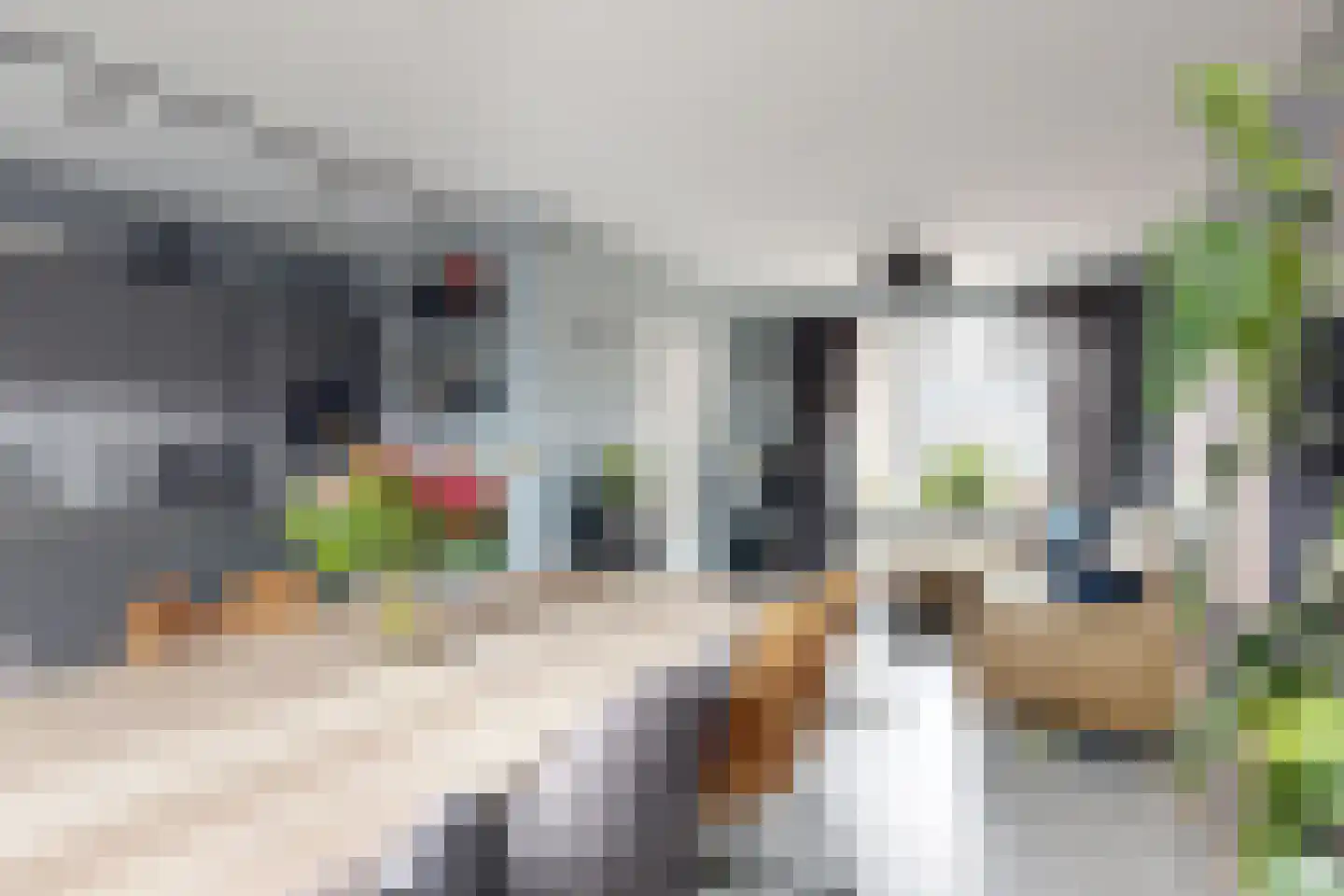 Schanspoort 30 Klundert thumbnail 21