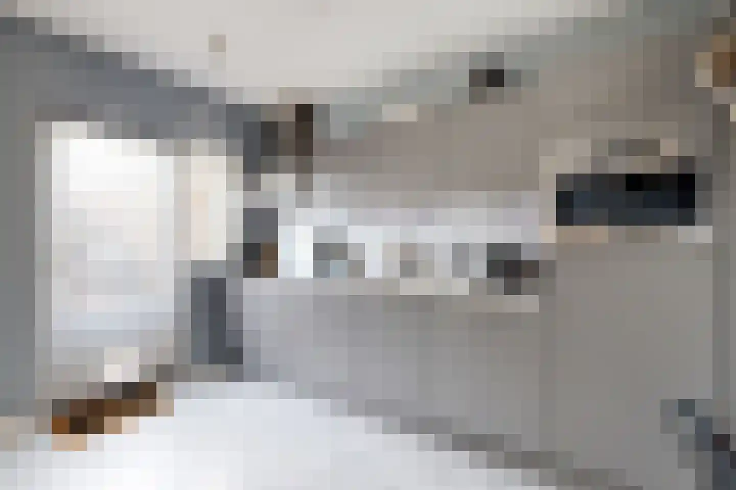 Schanspoort 30 Klundert thumbnail 24
