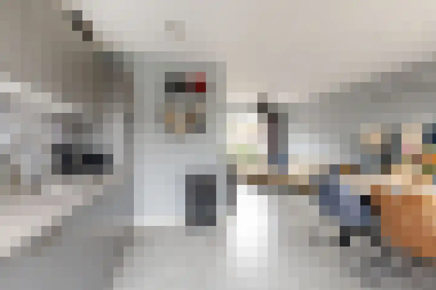 Schanspoort 30 Klundert thumbnail 26