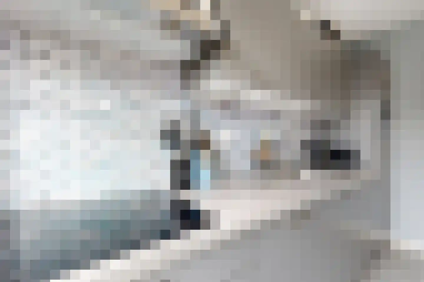 Schanspoort 30 Klundert thumbnail 29