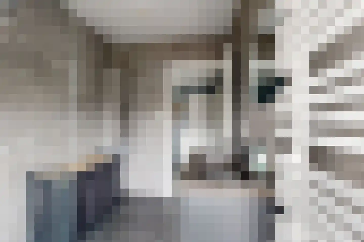 Schanspoort 30 Klundert thumbnail 43