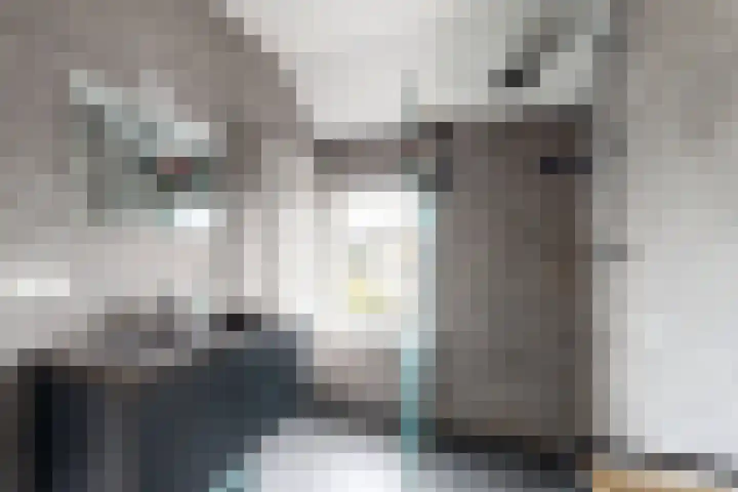 Schanspoort 30 Klundert thumbnail 6