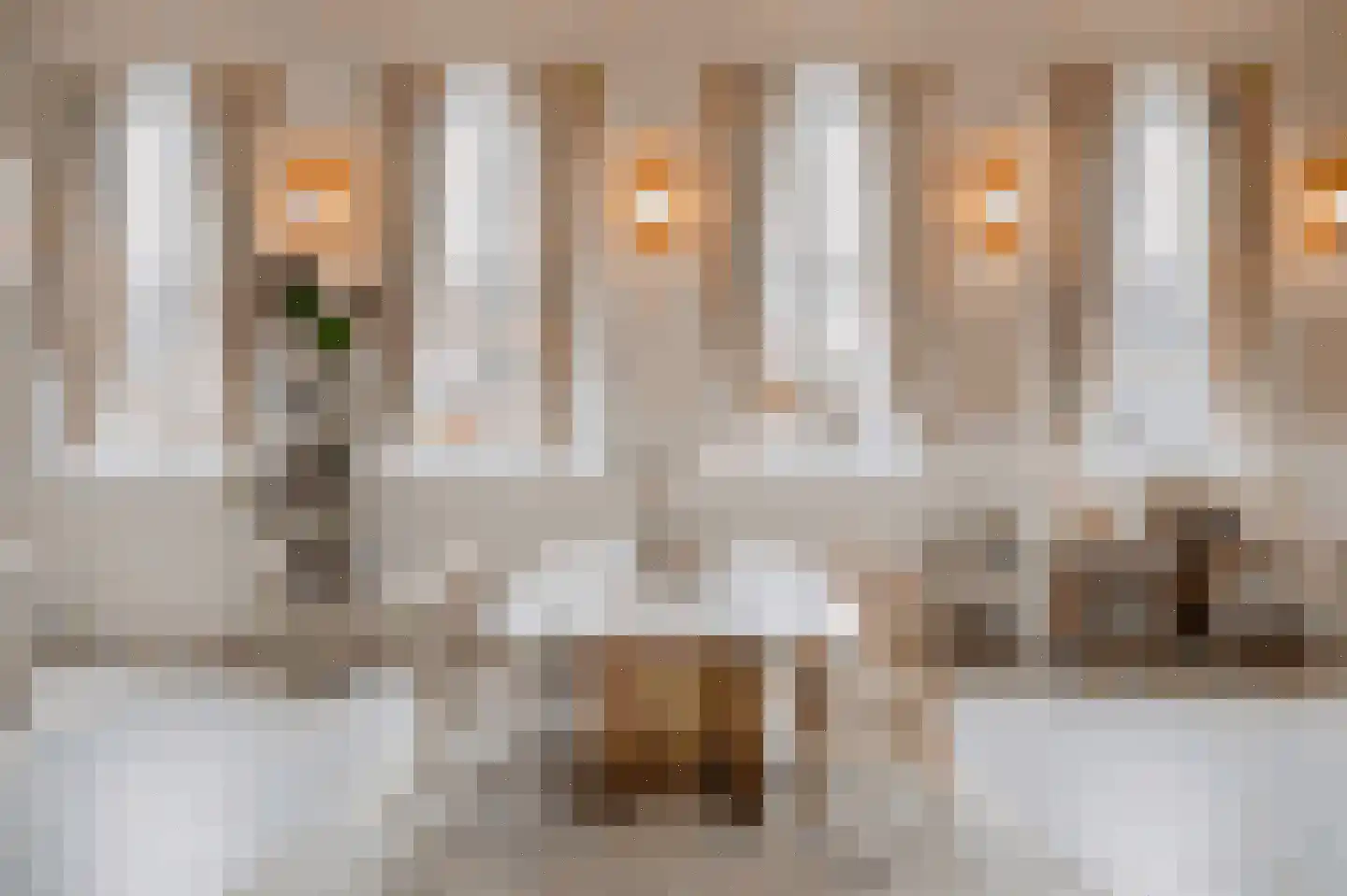 Schanspoort 8 Klundert thumbnail 7