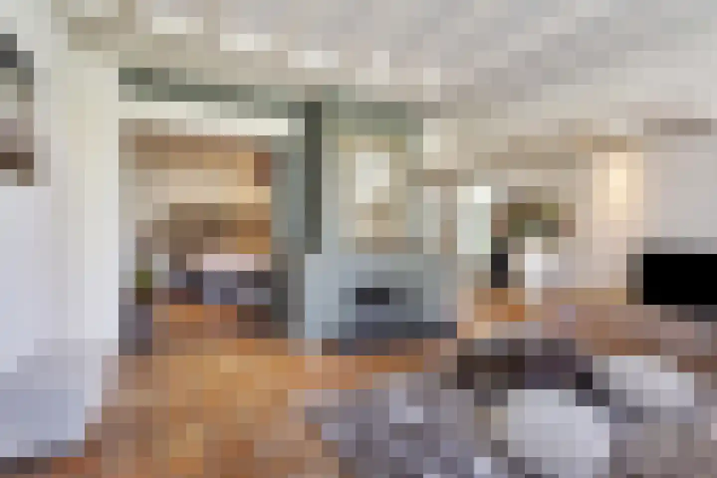 Schansstraat 12 A Raamsdonk thumbnail 5