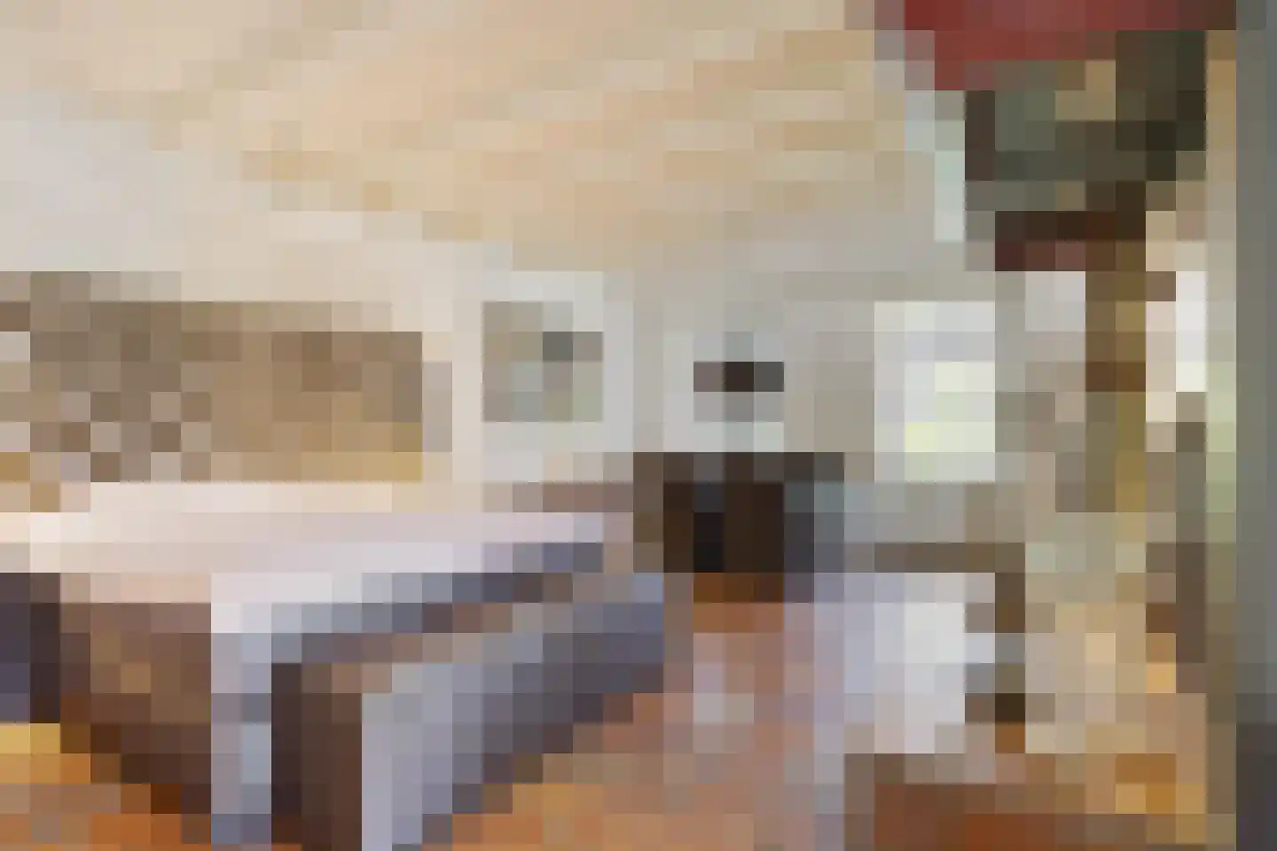 Schansstraat 12 A Raamsdonk thumbnail 7