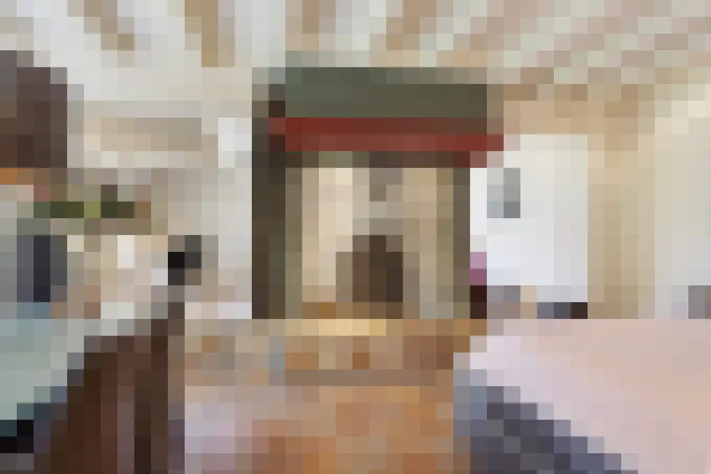 Schansstraat 12 A Raamsdonk thumbnail 8