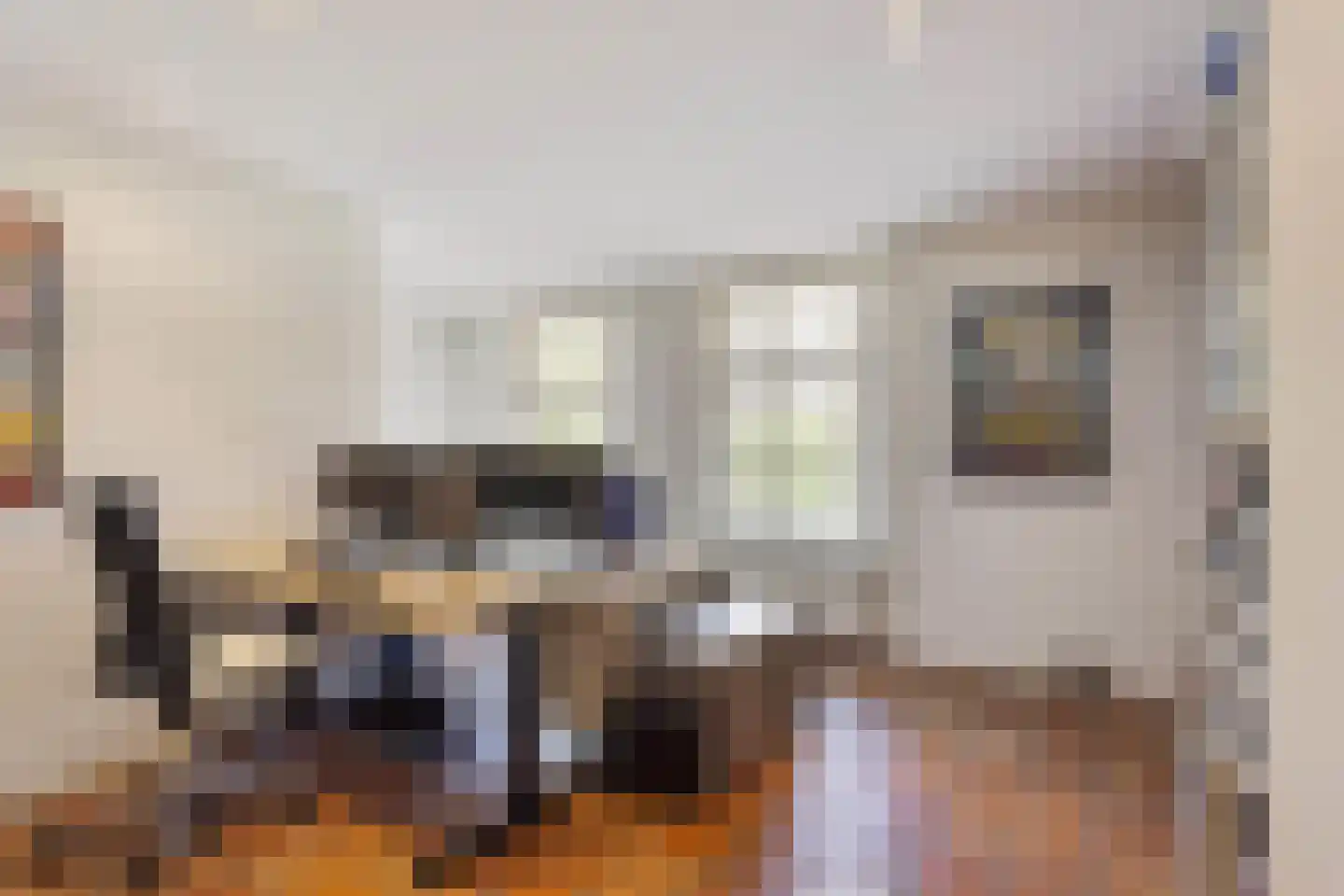 Schansstraat 12 A Raamsdonk thumbnail 9