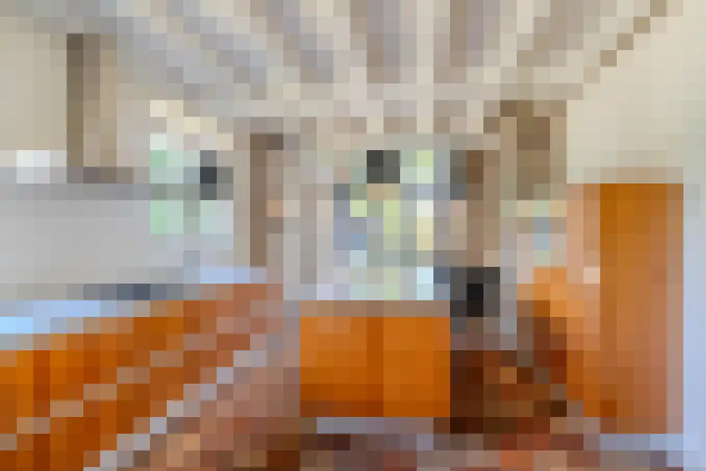Schansstraat 12 Raamsdonk thumbnail 10