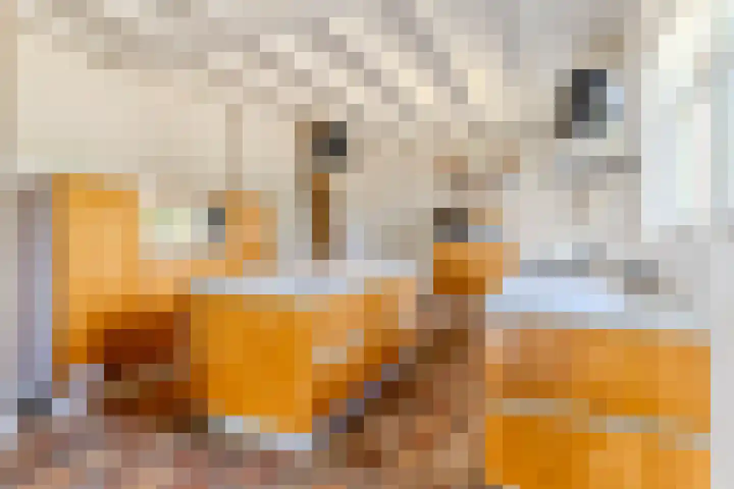 Schansstraat 12 Raamsdonk thumbnail 11
