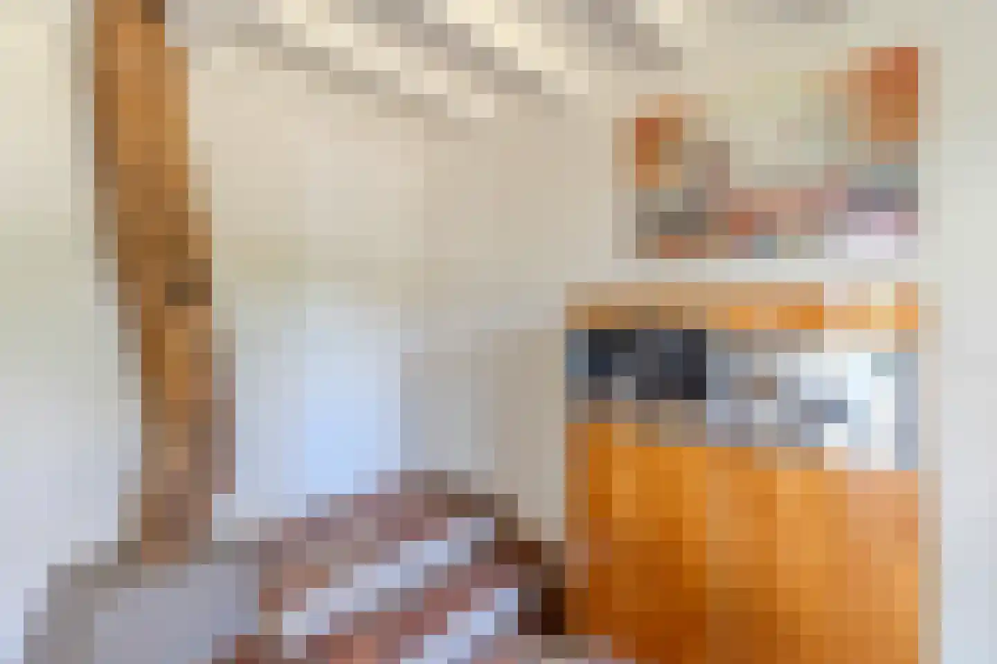 Schansstraat 12 Raamsdonk thumbnail 12