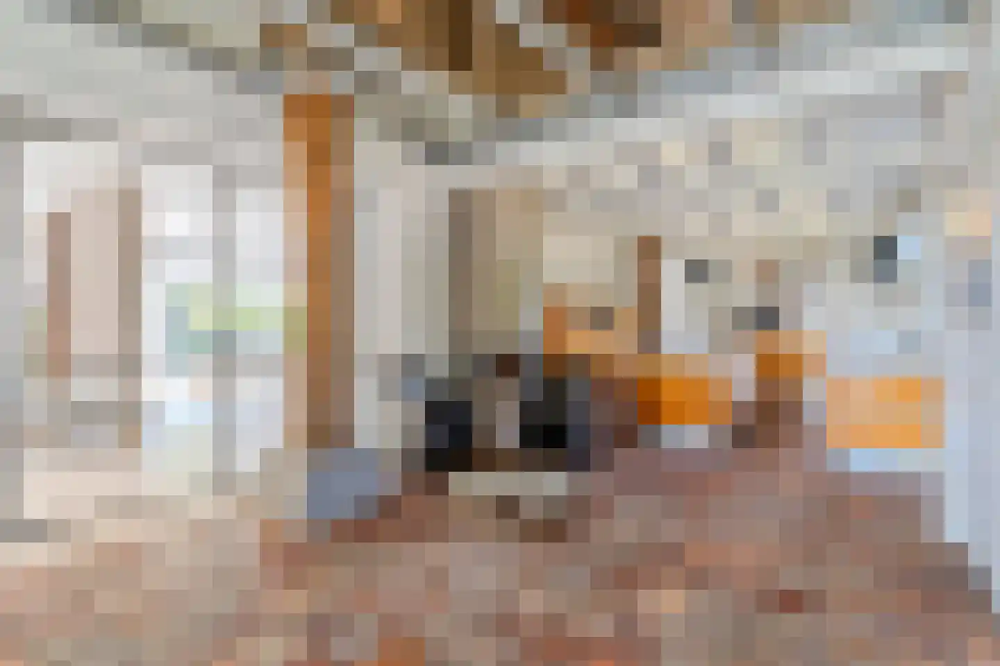 Schansstraat 12 Raamsdonk thumbnail 14