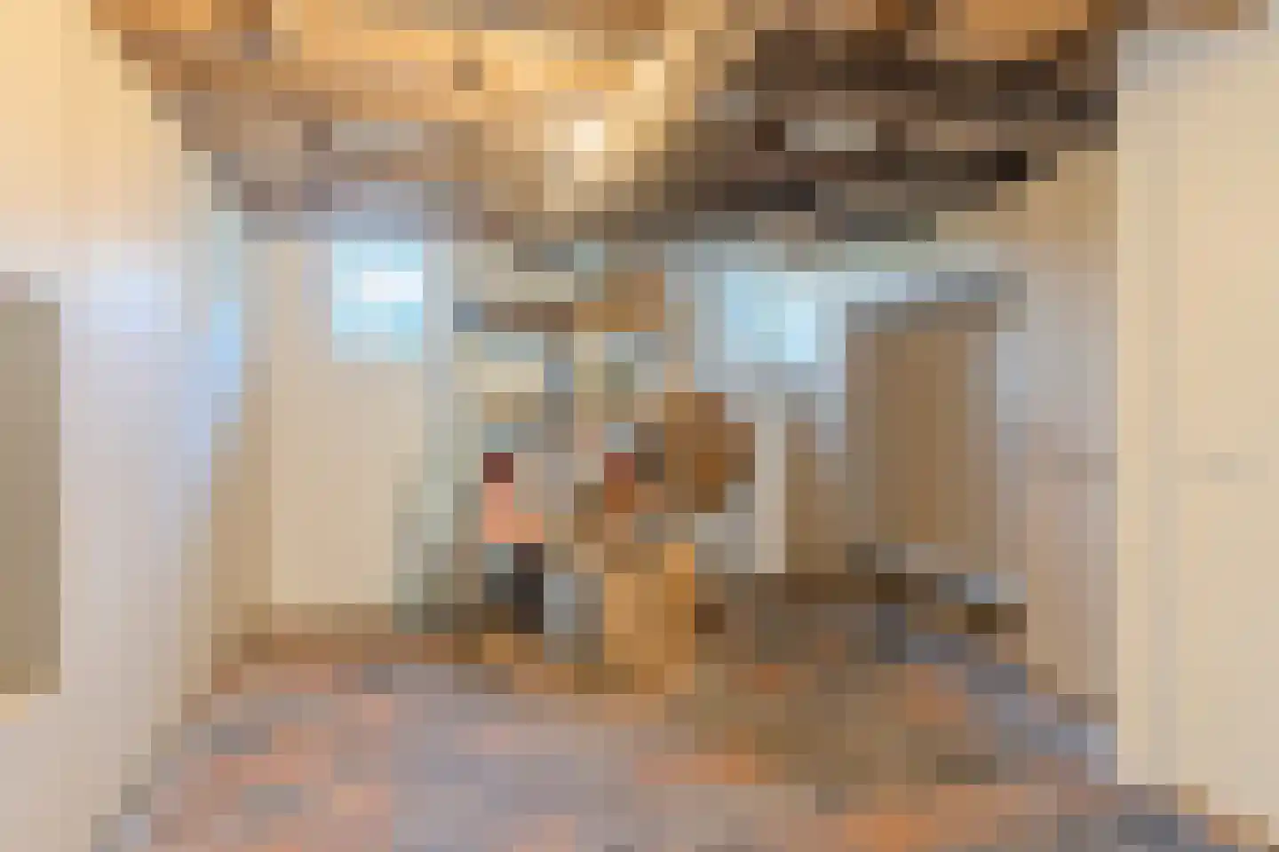Schansstraat 12 Raamsdonk thumbnail 17