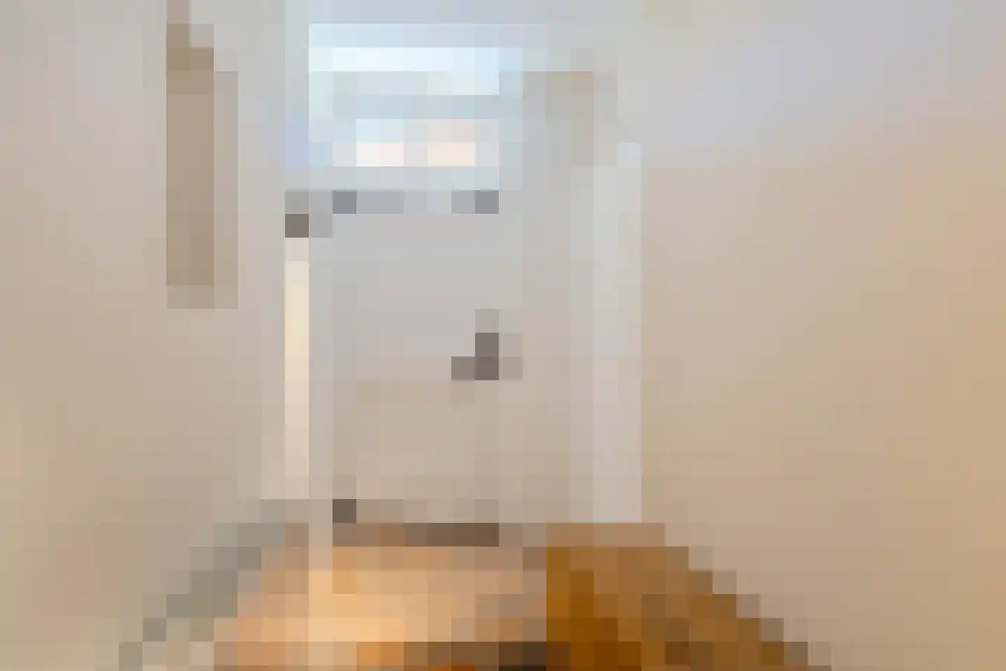 Schansstraat 12 Raamsdonk thumbnail 28