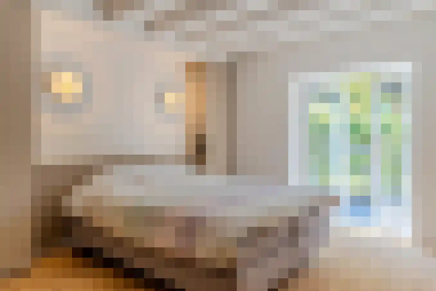 Schansstraat 12 Raamsdonk thumbnail 31