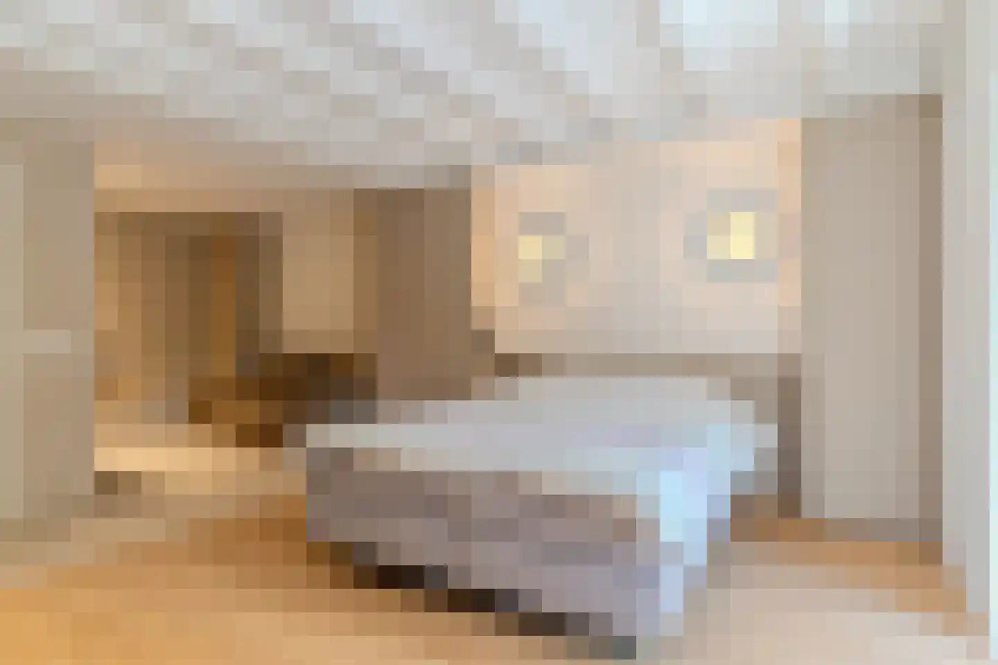Schansstraat 12 Raamsdonk thumbnail 34