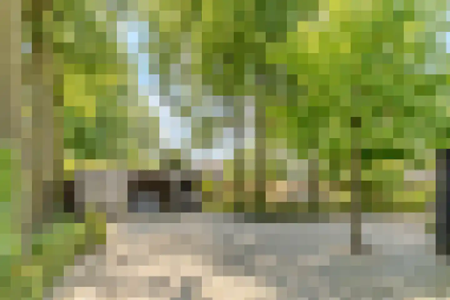 Schansstraat 12 Raamsdonk thumbnail 40