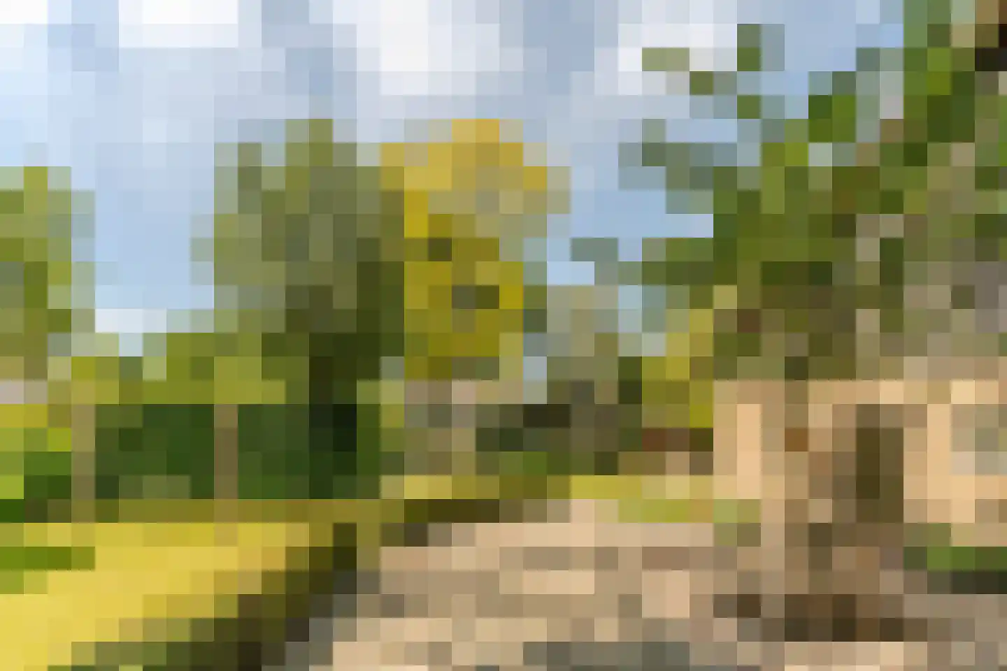Schansstraat 12 Raamsdonk thumbnail 42
