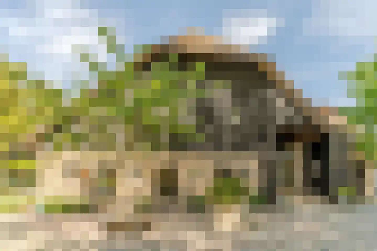 Schansstraat 12 Raamsdonk thumbnail 43