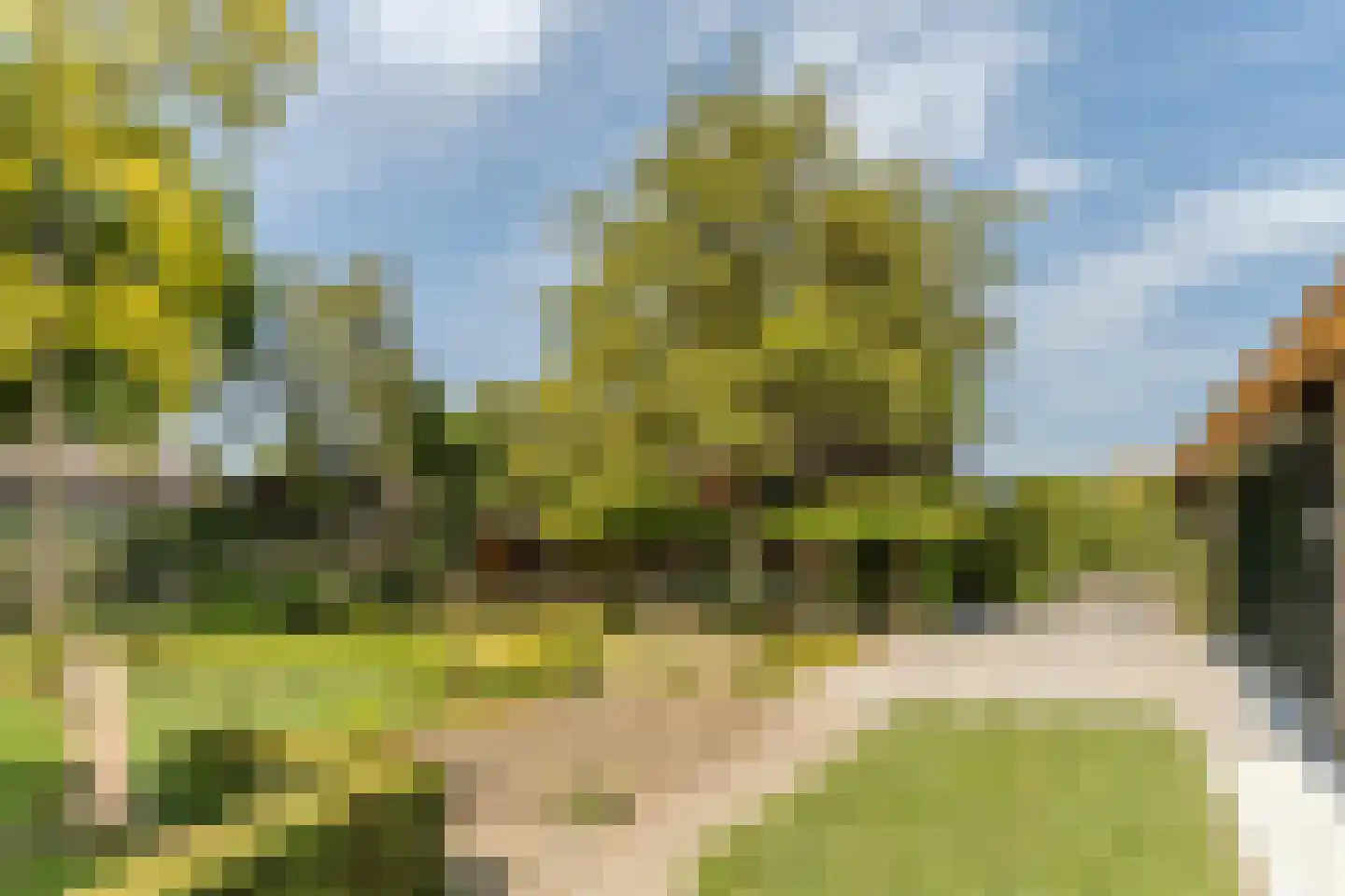 Schansstraat 12 Raamsdonk thumbnail 44