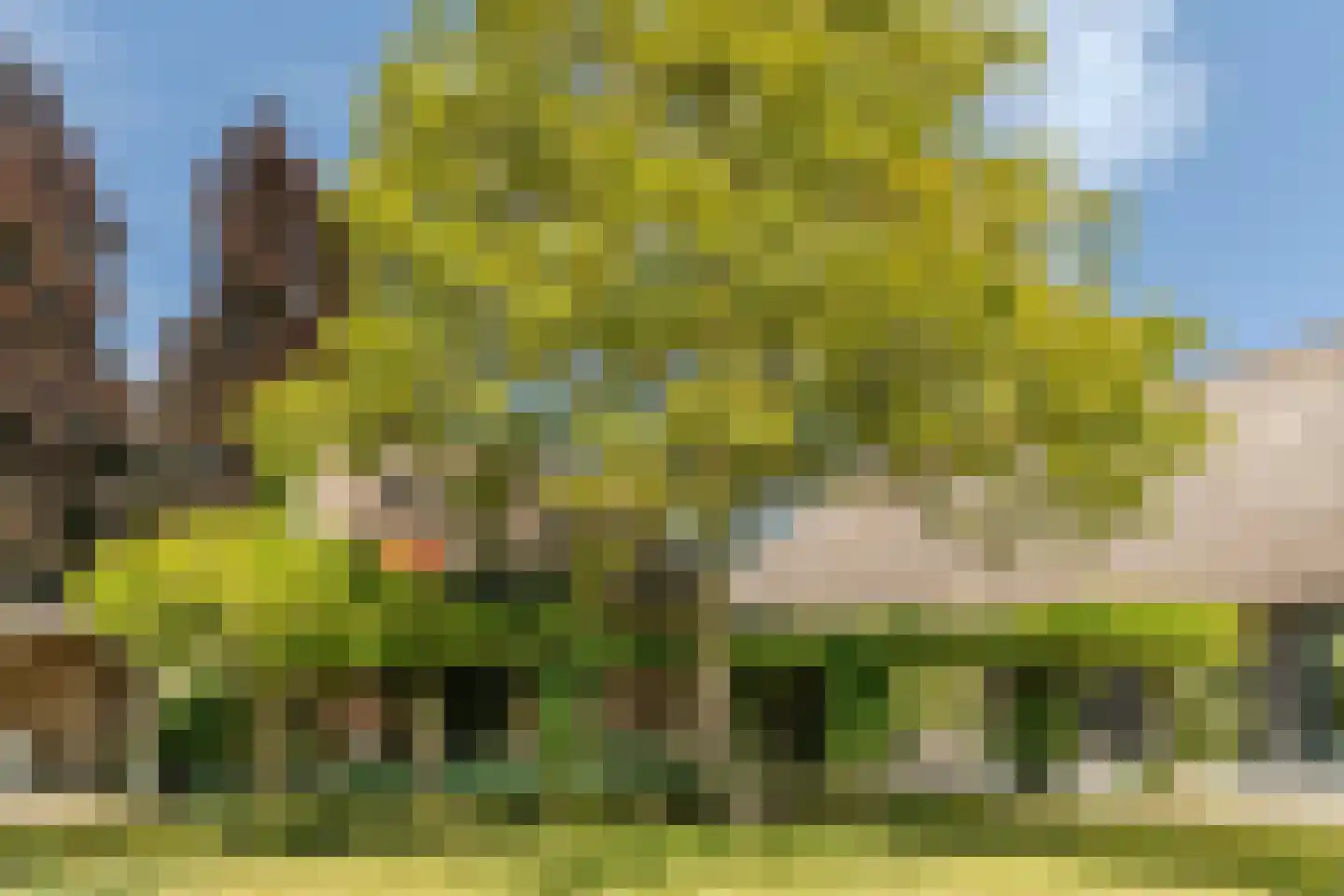 Schansstraat 12 Raamsdonk thumbnail 48