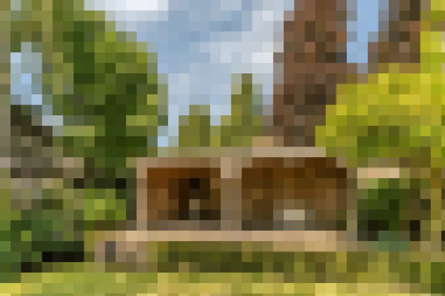 Schansstraat 12 Raamsdonk thumbnail 49