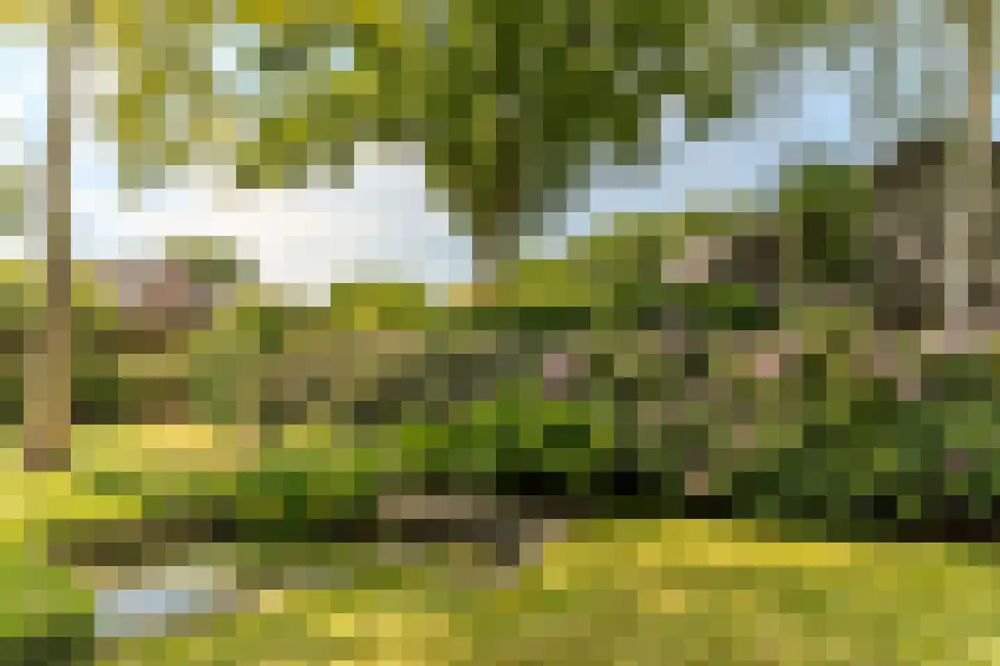 Schansstraat 12 Raamsdonk thumbnail 50