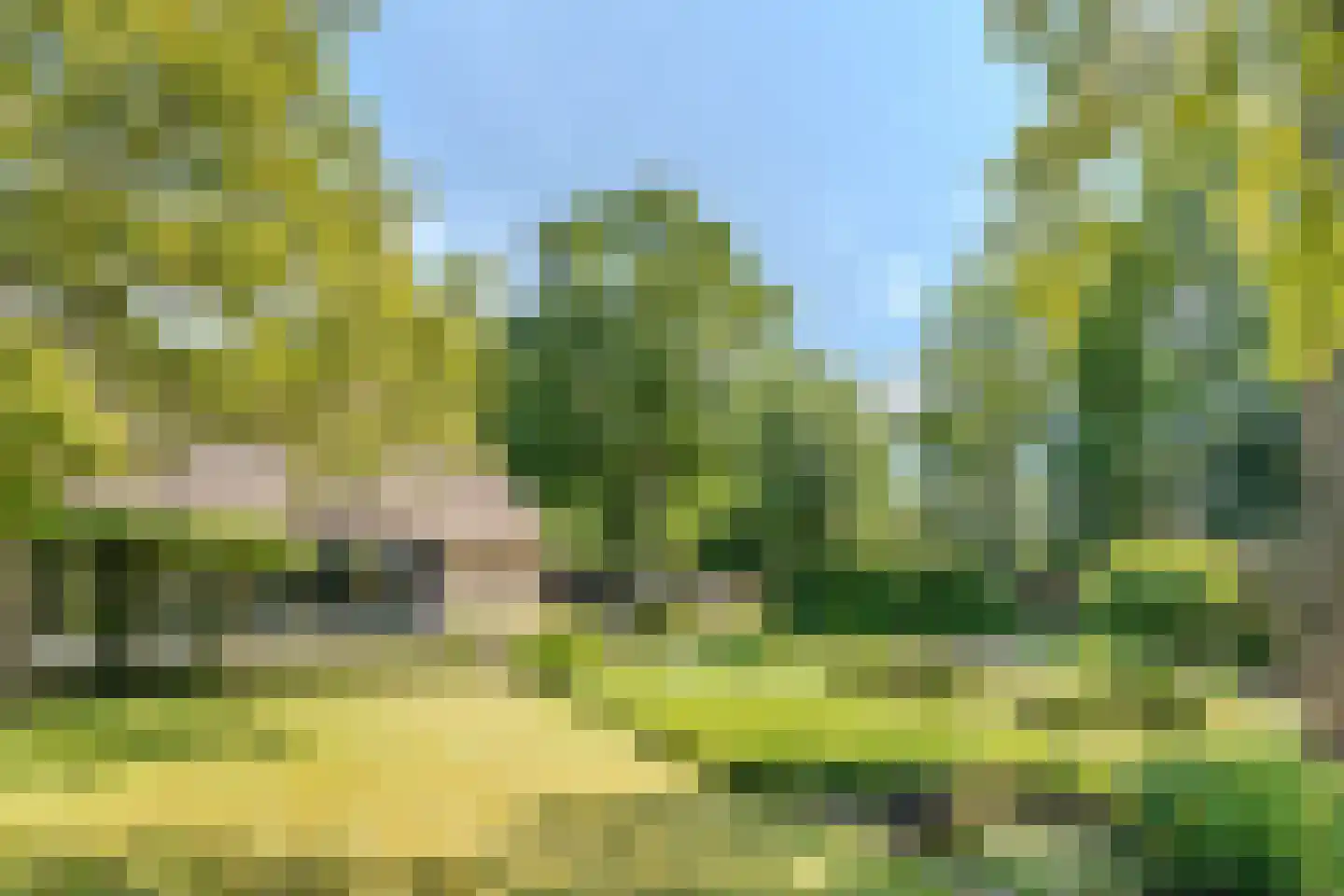 Schansstraat 12 Raamsdonk thumbnail 51