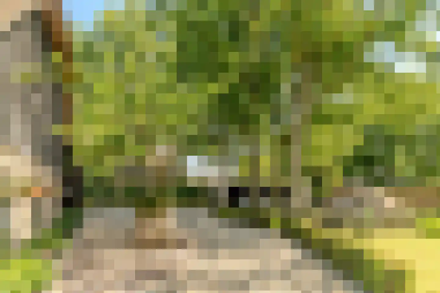 Schansstraat 12 Raamsdonk thumbnail 55