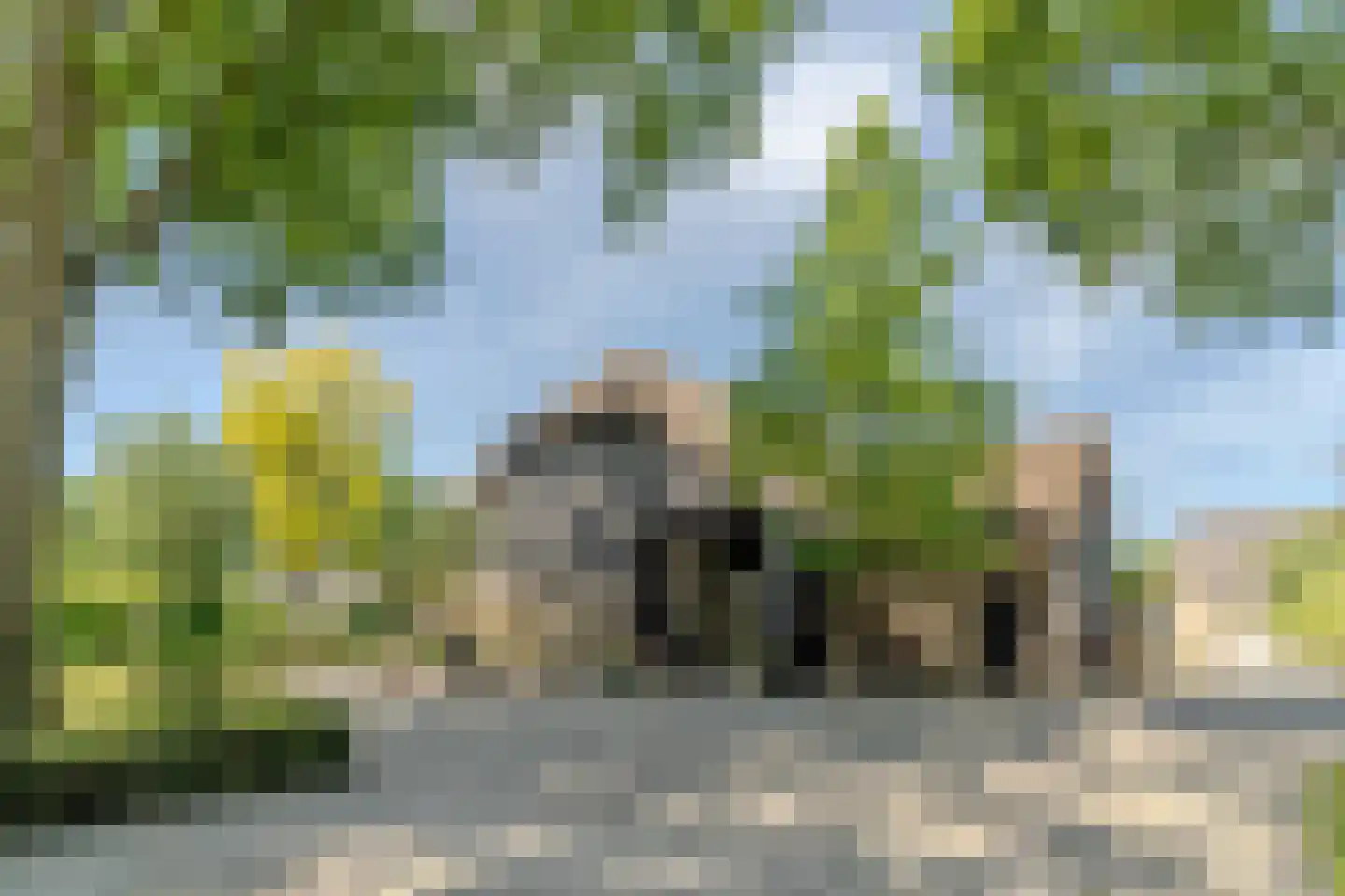 Schansstraat 12 Raamsdonk thumbnail 56
