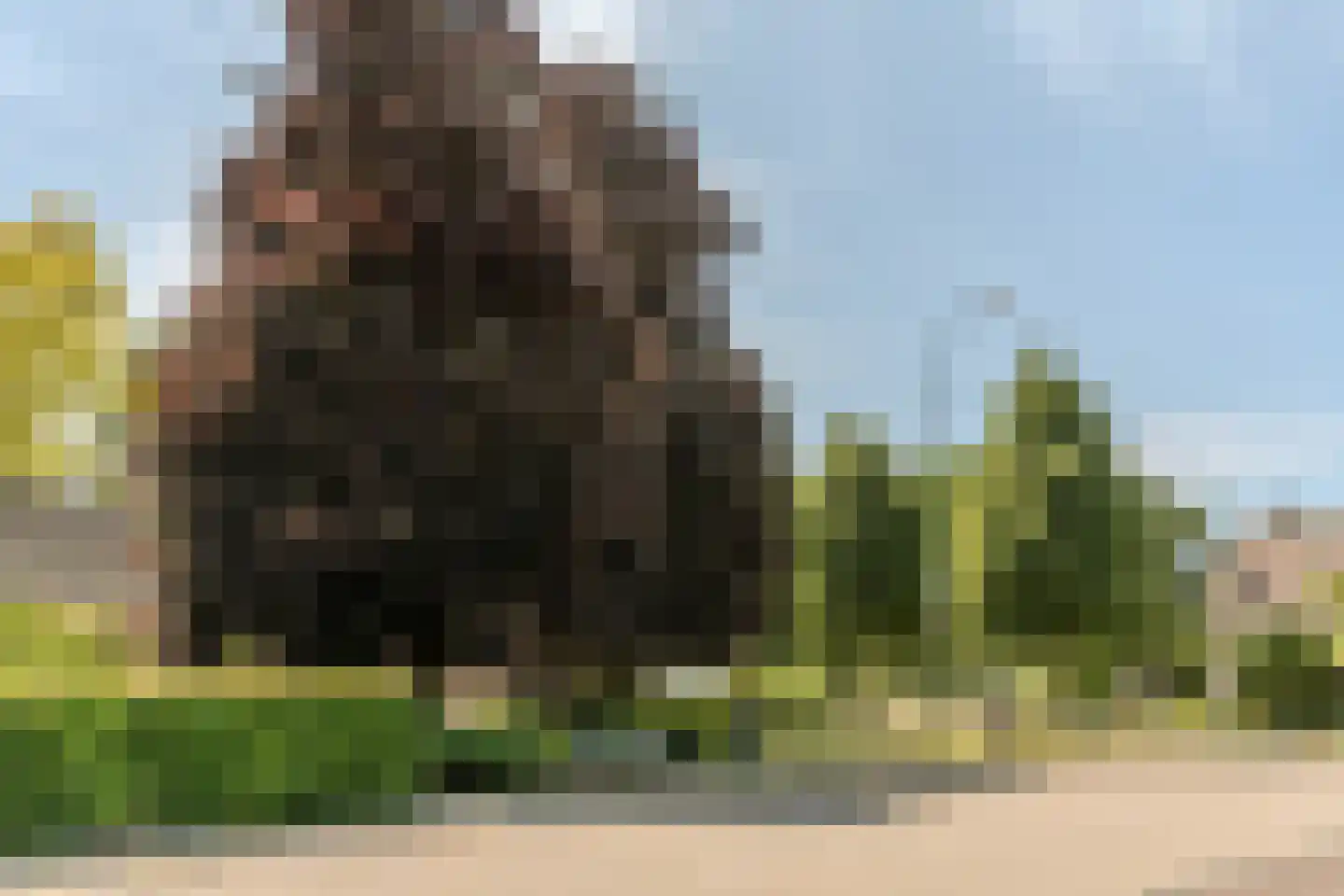 Schansstraat 12 Raamsdonk thumbnail 58