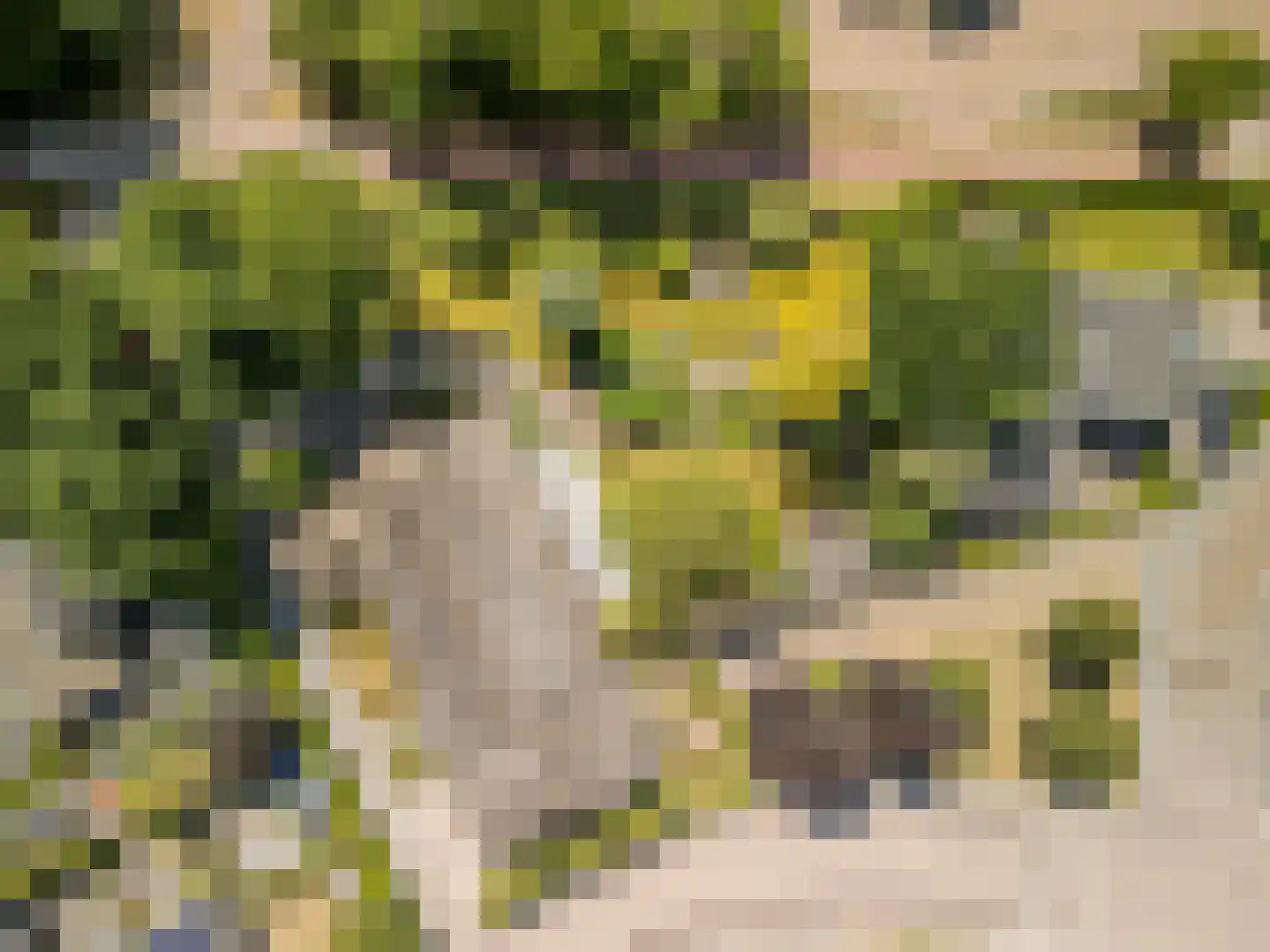 Schansstraat 12 Raamsdonk thumbnail 60