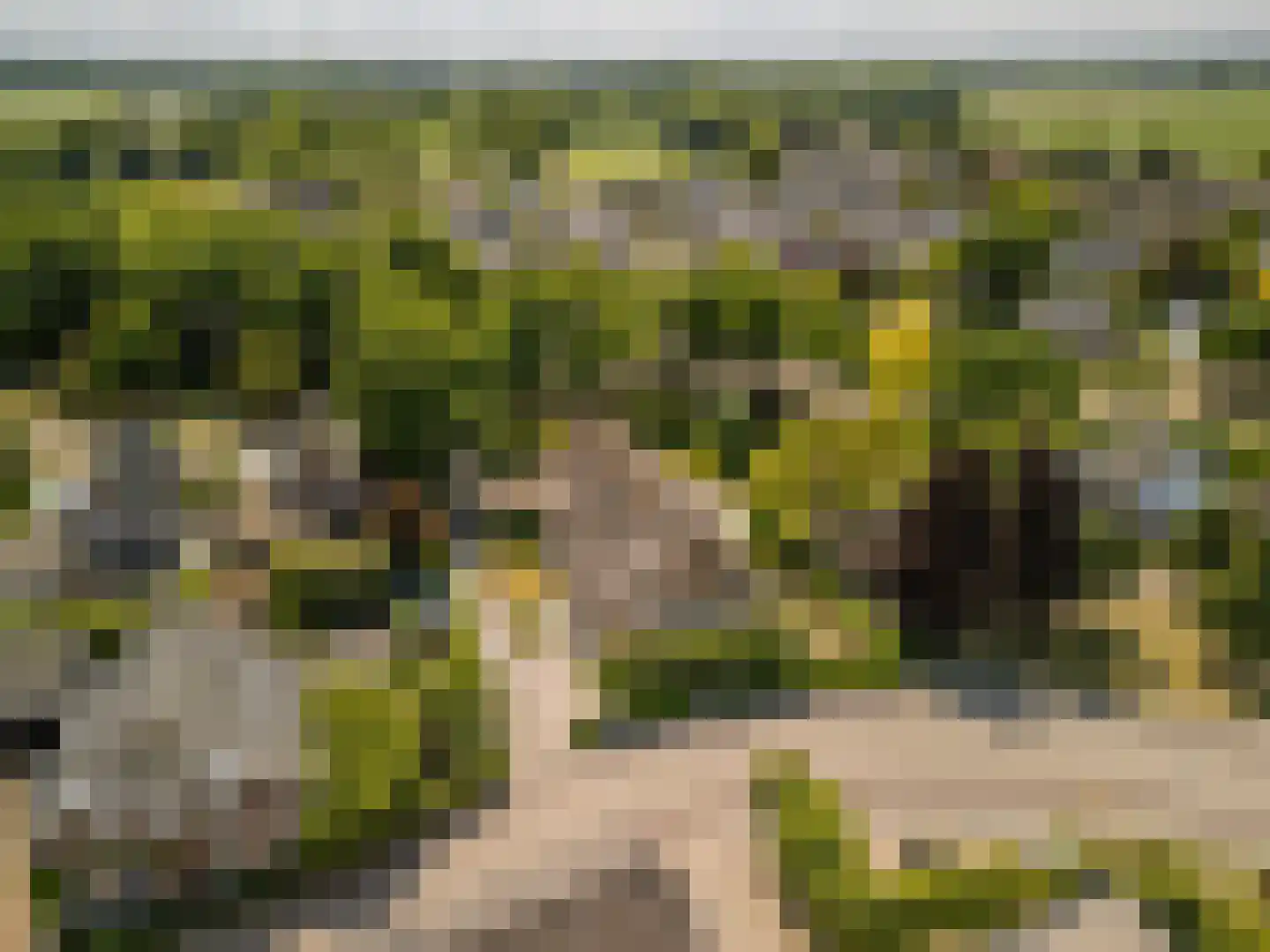 Schansstraat 12 Raamsdonk thumbnail 61