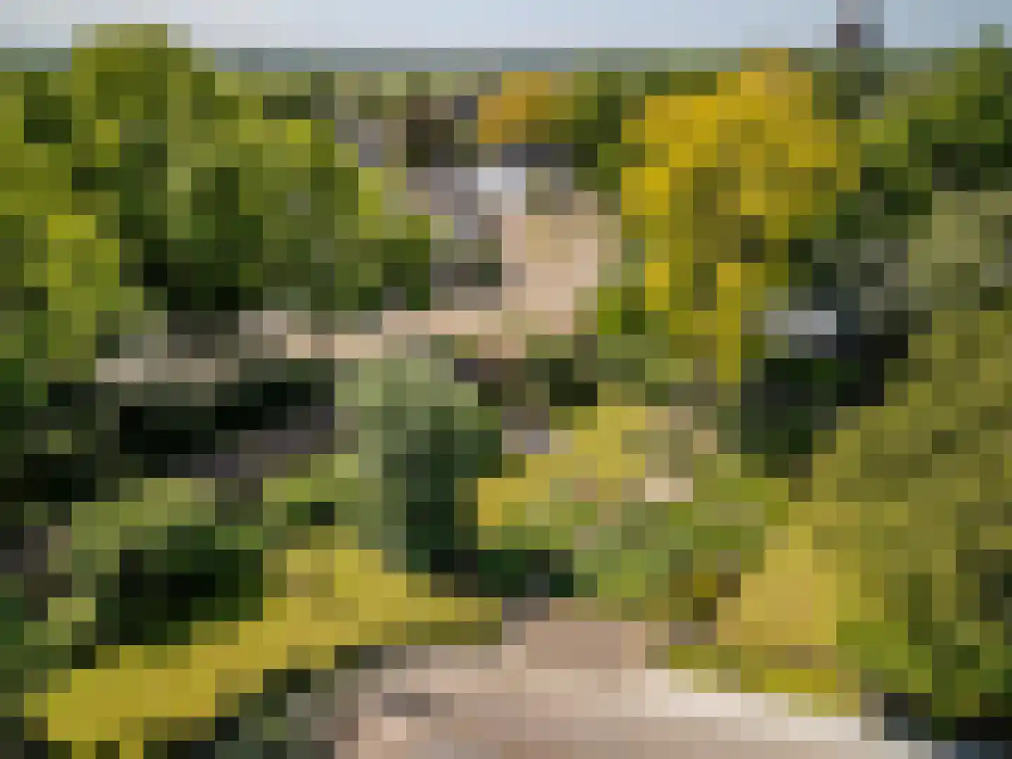 Schansstraat 12 Raamsdonk thumbnail 62