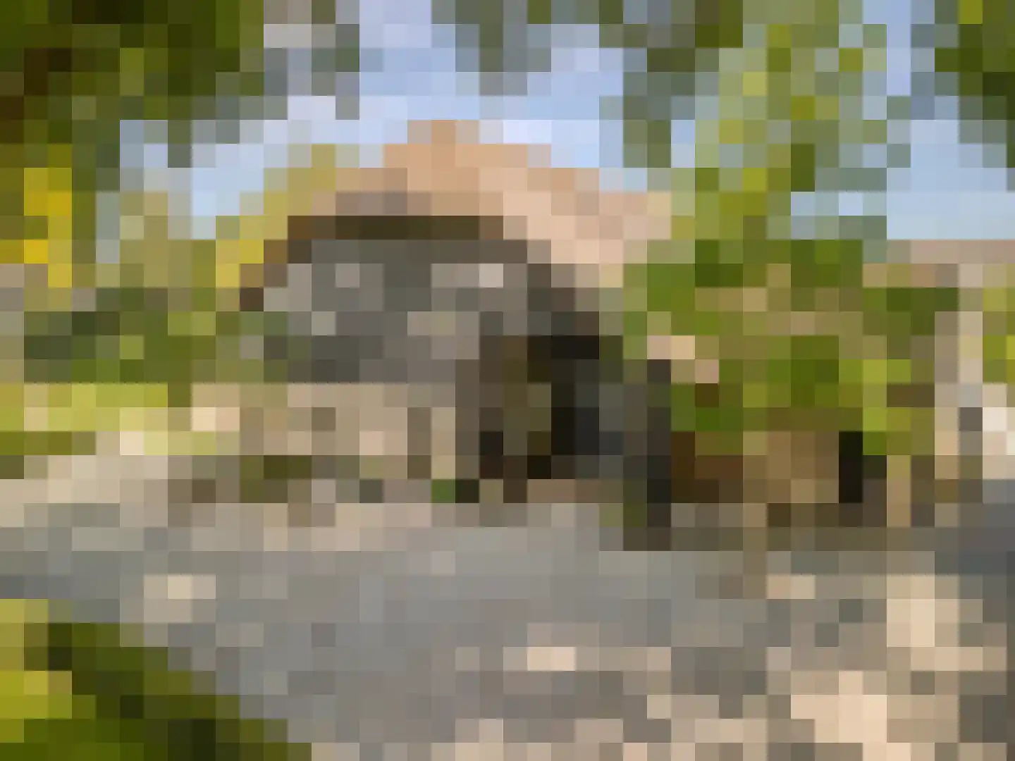 Schansstraat 12 Raamsdonk thumbnail 63