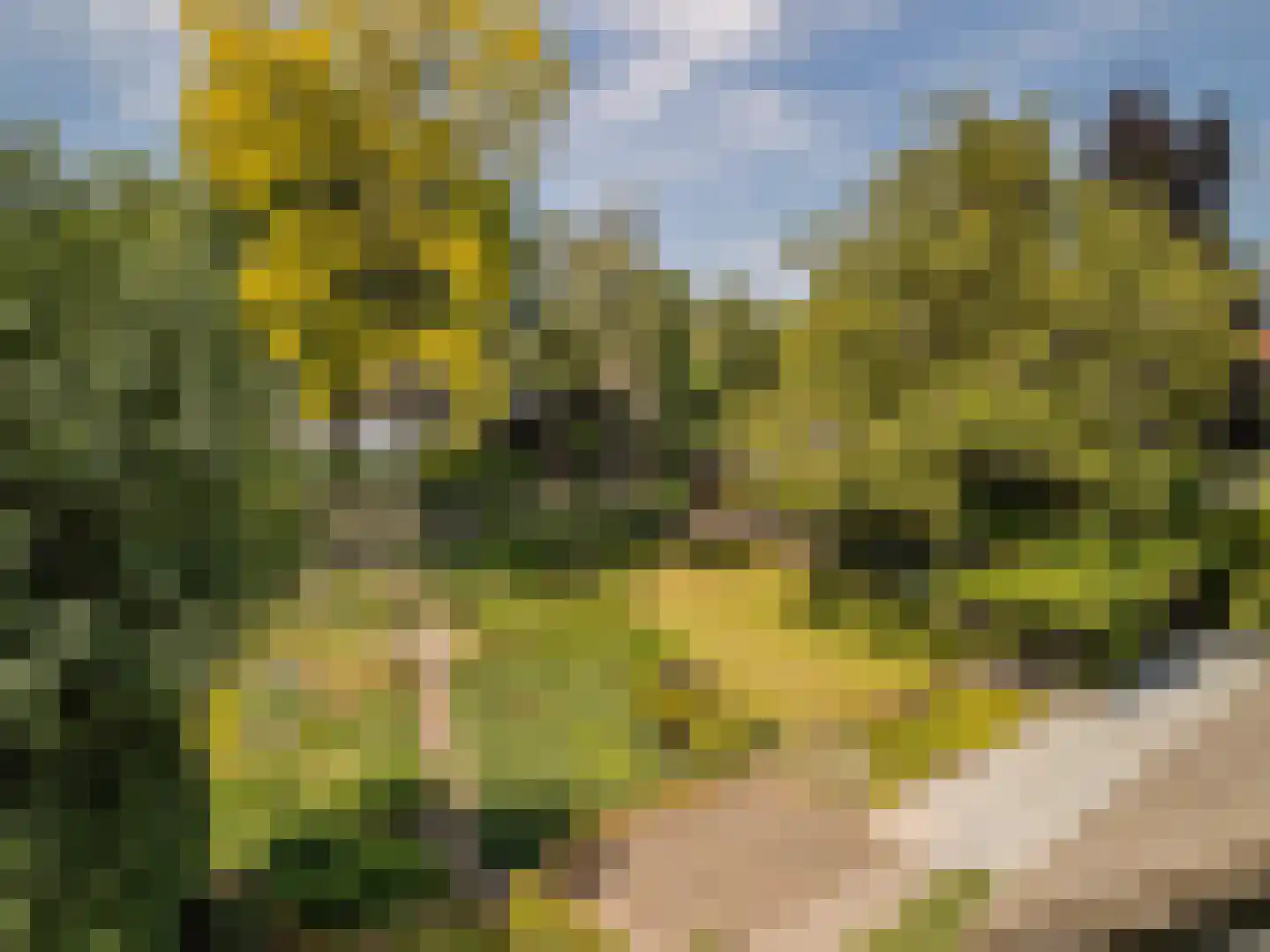Schansstraat 12 Raamsdonk thumbnail 65
