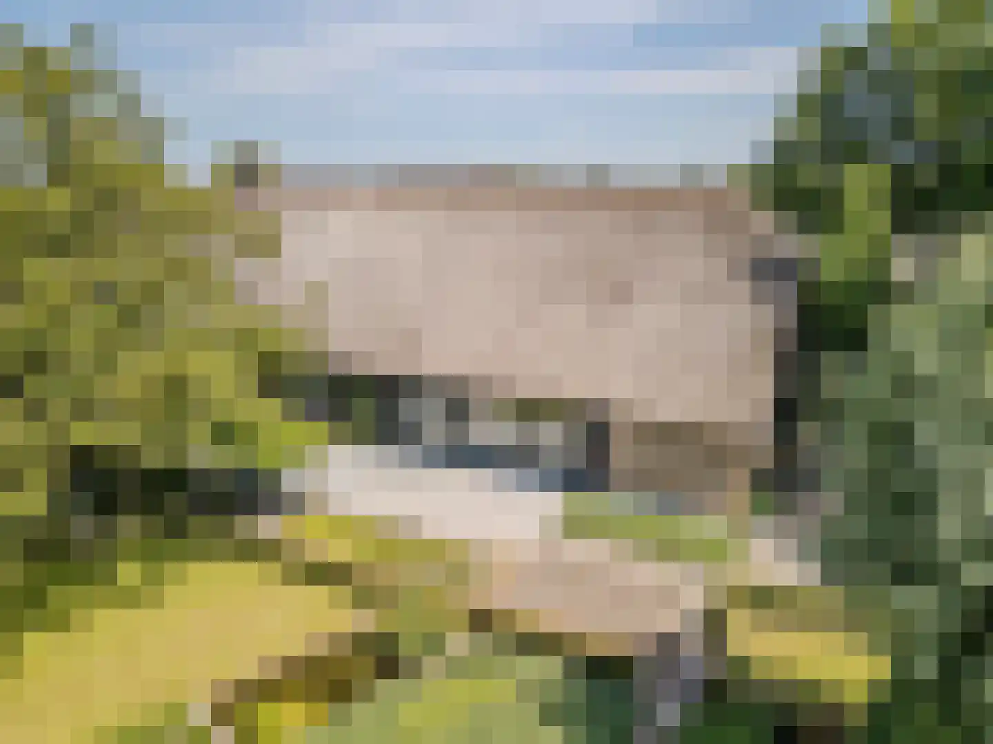 Schansstraat 12 Raamsdonk thumbnail 7