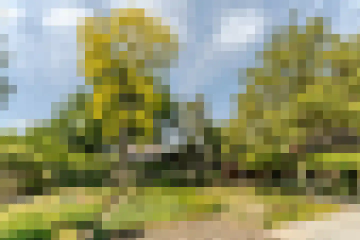 Schansstraat 12 Raamsdonk thumbnail 8