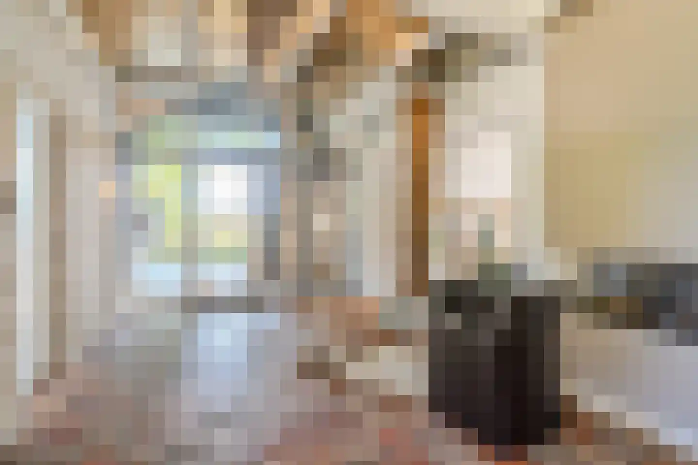 Schansstraat 12 Raamsdonk thumbnail 9