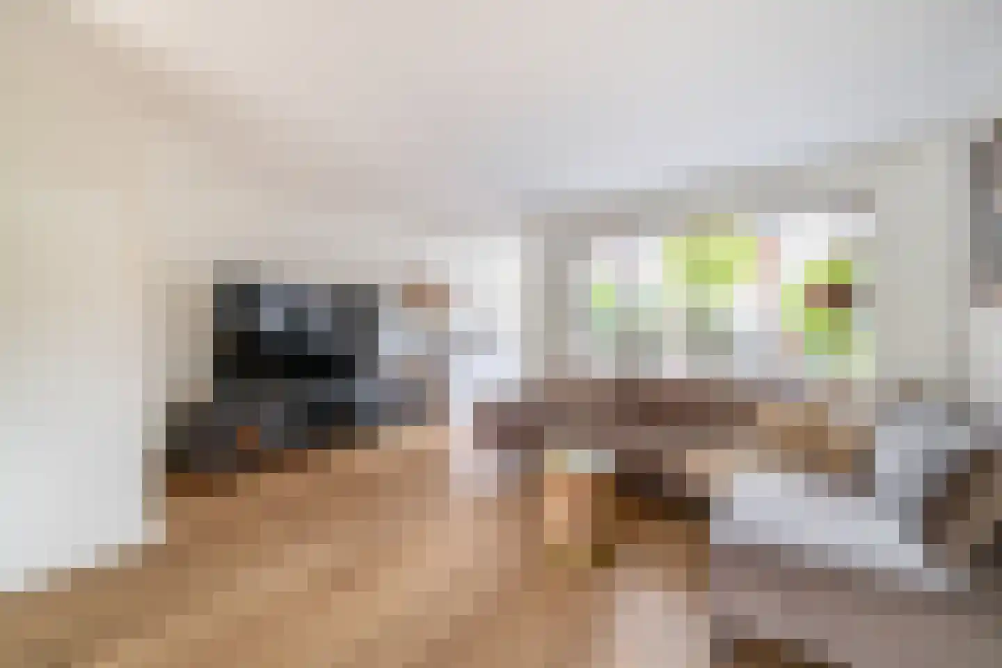 Schansstraat 16 Wormer thumbnail 12