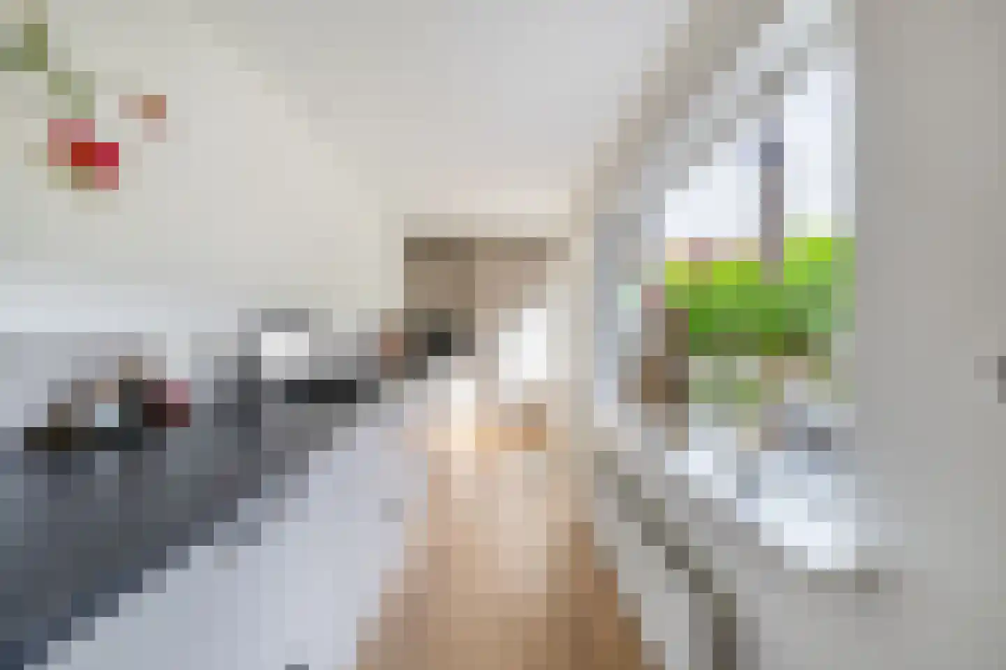 Schansstraat 16 Wormer thumbnail 19