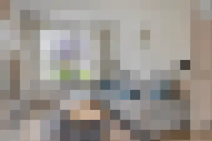 Schansstraat 19 Horst thumbnail 11