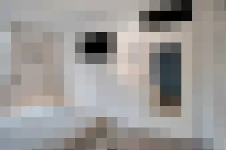 Schansstraat 19 Horst thumbnail 23