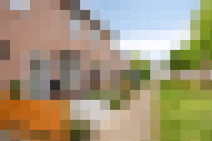 Schansstraat 19 Horst thumbnail 6
