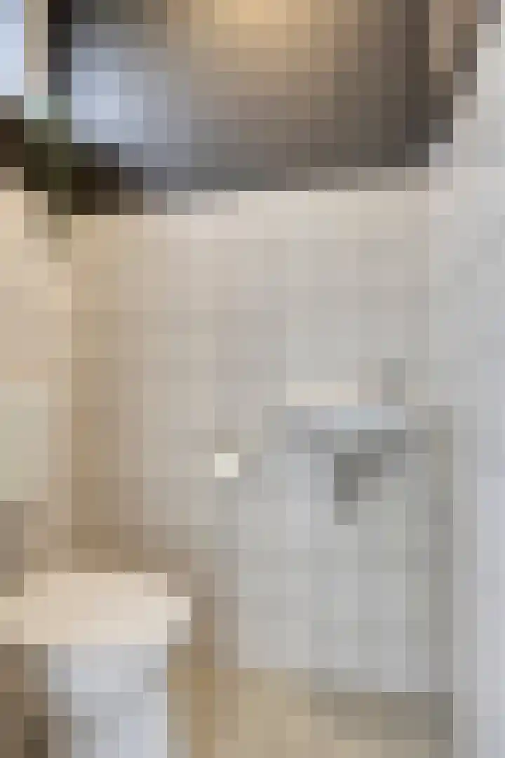 Schansstraat 19 Horst thumbnail 9