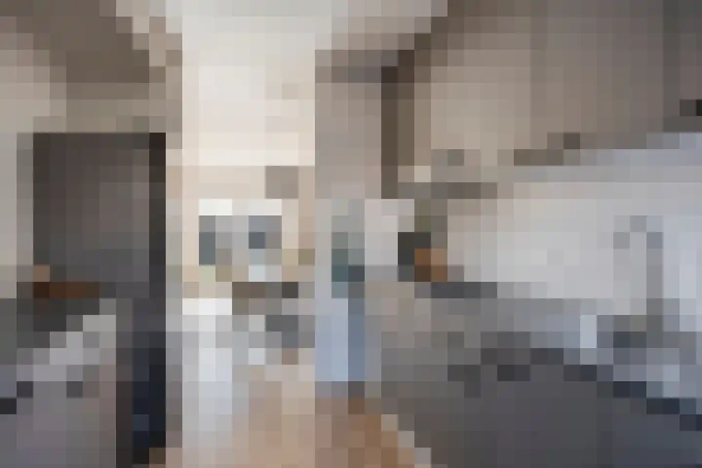Schansstraat 39 Horst thumbnail 10