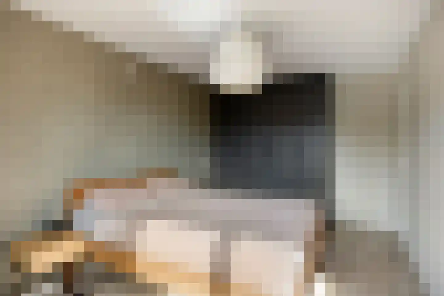Schansstraat 39 Horst thumbnail 14